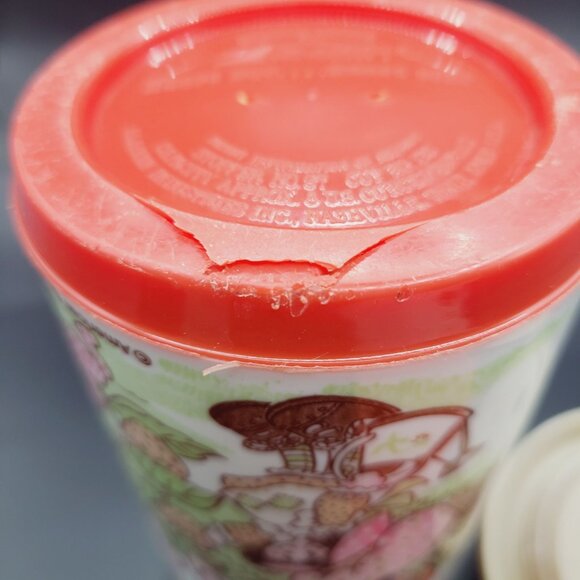 Aladdin Strawberry Shortcake Collectible Metal Lunch Box Tin & Thermos 1980 VTG - Picture 5 of 16